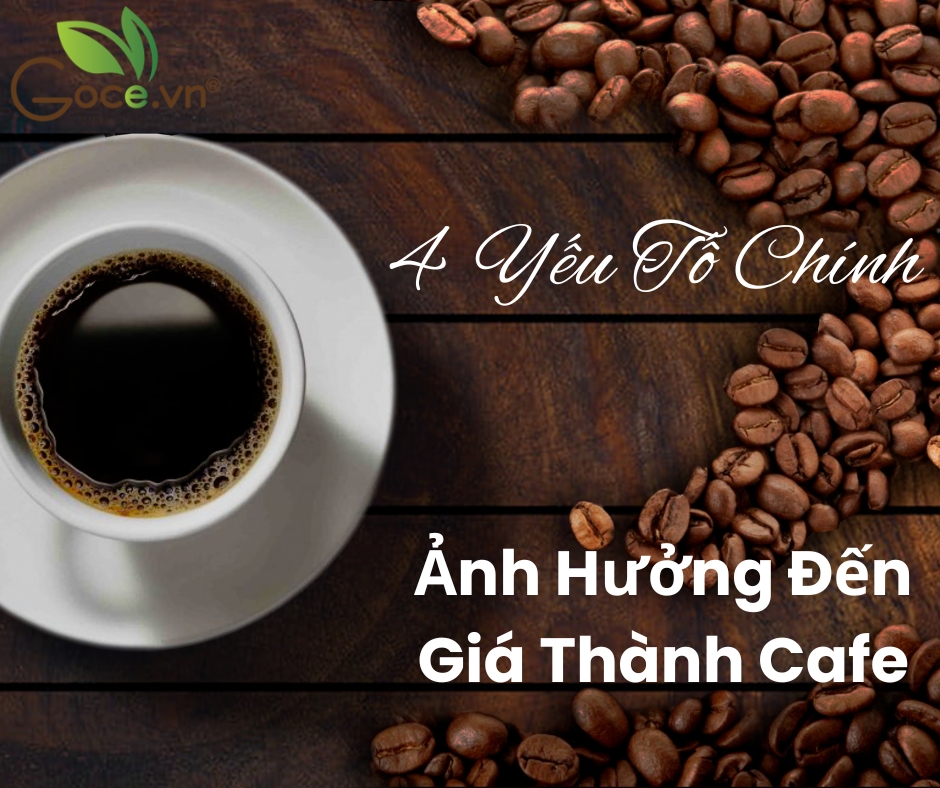 4 Yếu Tố Chính Ảnh Hưởng Đến Giá Thành Cafe