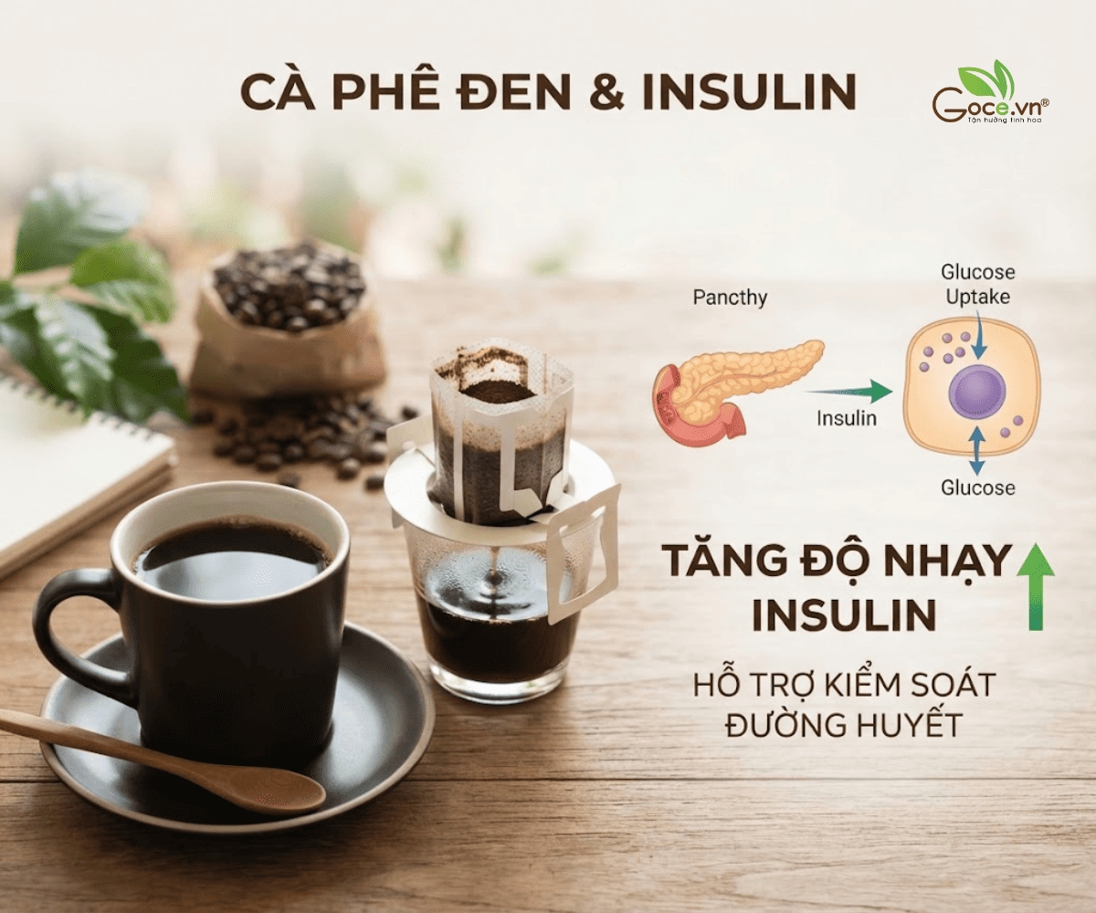 Cà Phê Đen Và Insulin Điều Ít Người Biết
