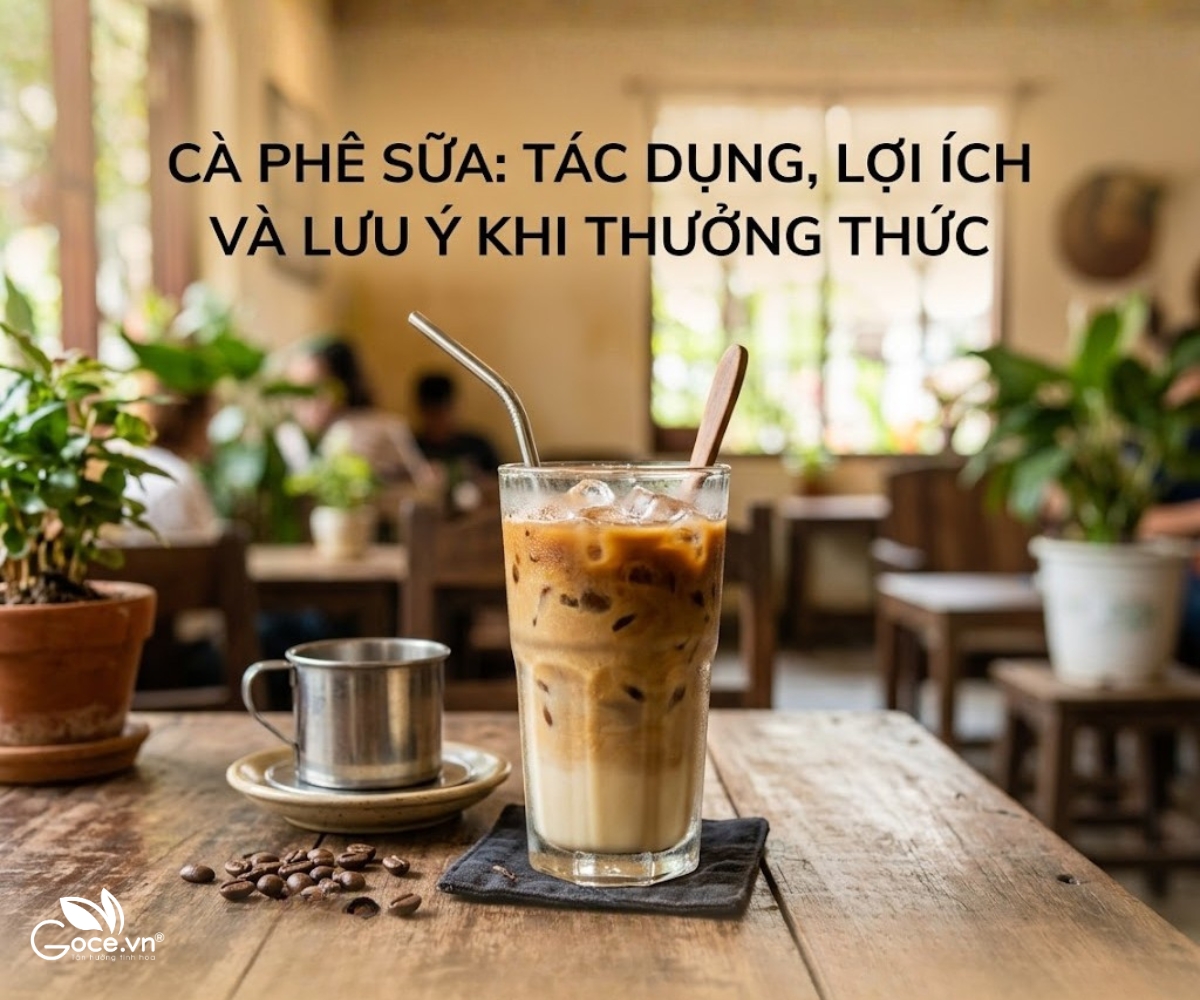 Milk Coffee: Benefits, Effects, and Important Notes When Enjoying It