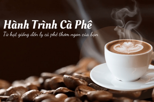 From Seed to Cup The Journey of a Delicious Coffee