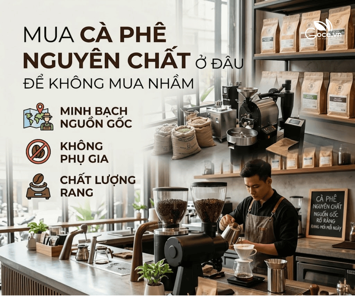 Mua Cà Phê Nguyên Chất Ở Đâu Mà Không Bị Đánh Lừa