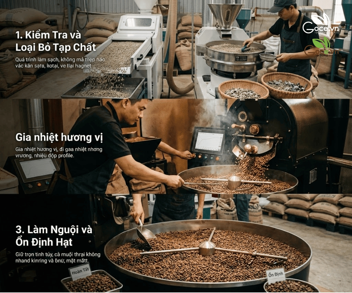 Quy Trình Sản Xuất Cà Phê Chuẩn HACCP Diễn Ra Như Thế Nào?