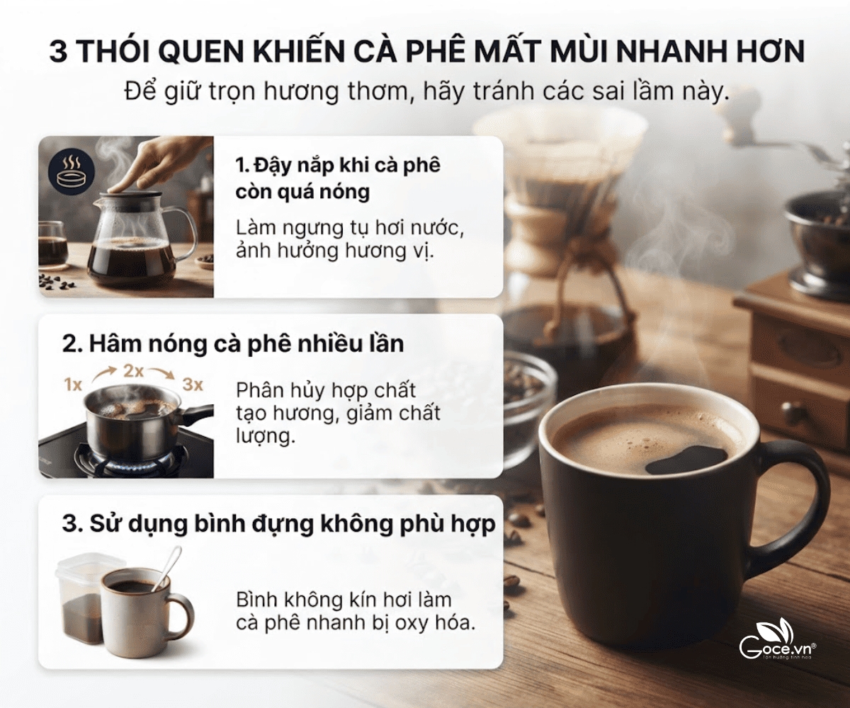 Vì Sao Cà Phê Đã Pha Nhanh Mất Mùi? Bí Quyết Giữ Hương Thơm Lâu Hơn