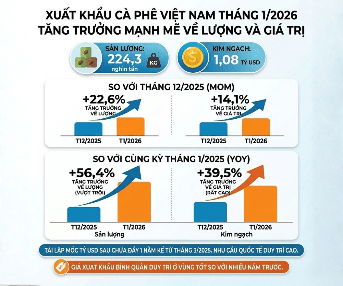 Xuất Khẩu Cà Phê Việt Nam Vượt 1 Tỷ USD Đầu Năm 2026 Cú Đề Pa Mạnh Giữa Sóng Giá Giảm